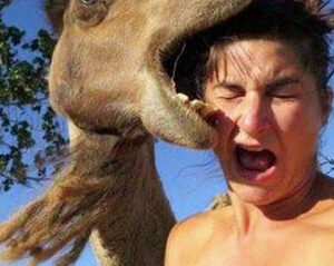 Death by beast