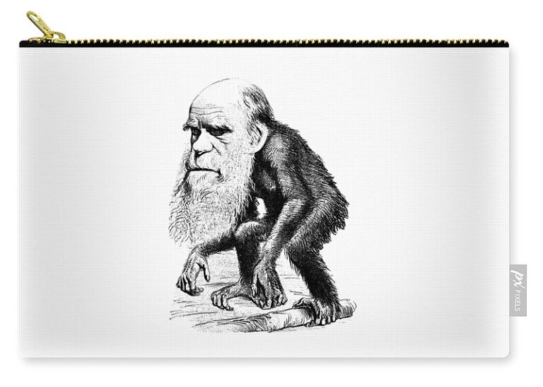 Genesis BONUS Ep.  Evolution, The Ludicrous, Impossible Fairy Tale!